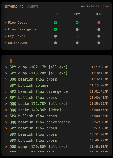 Plain English. Real Time. Zero Guesswork.